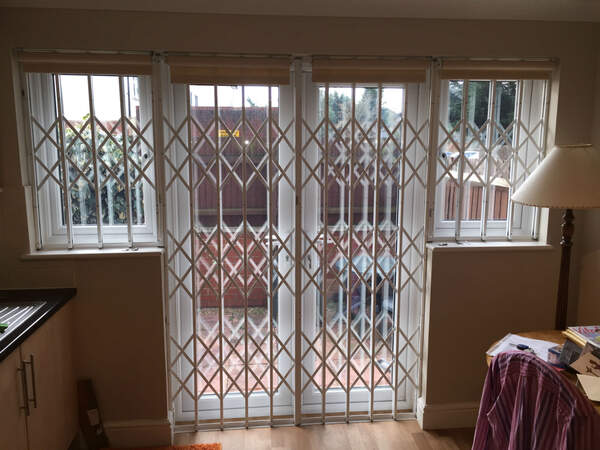 Door and window security grilles